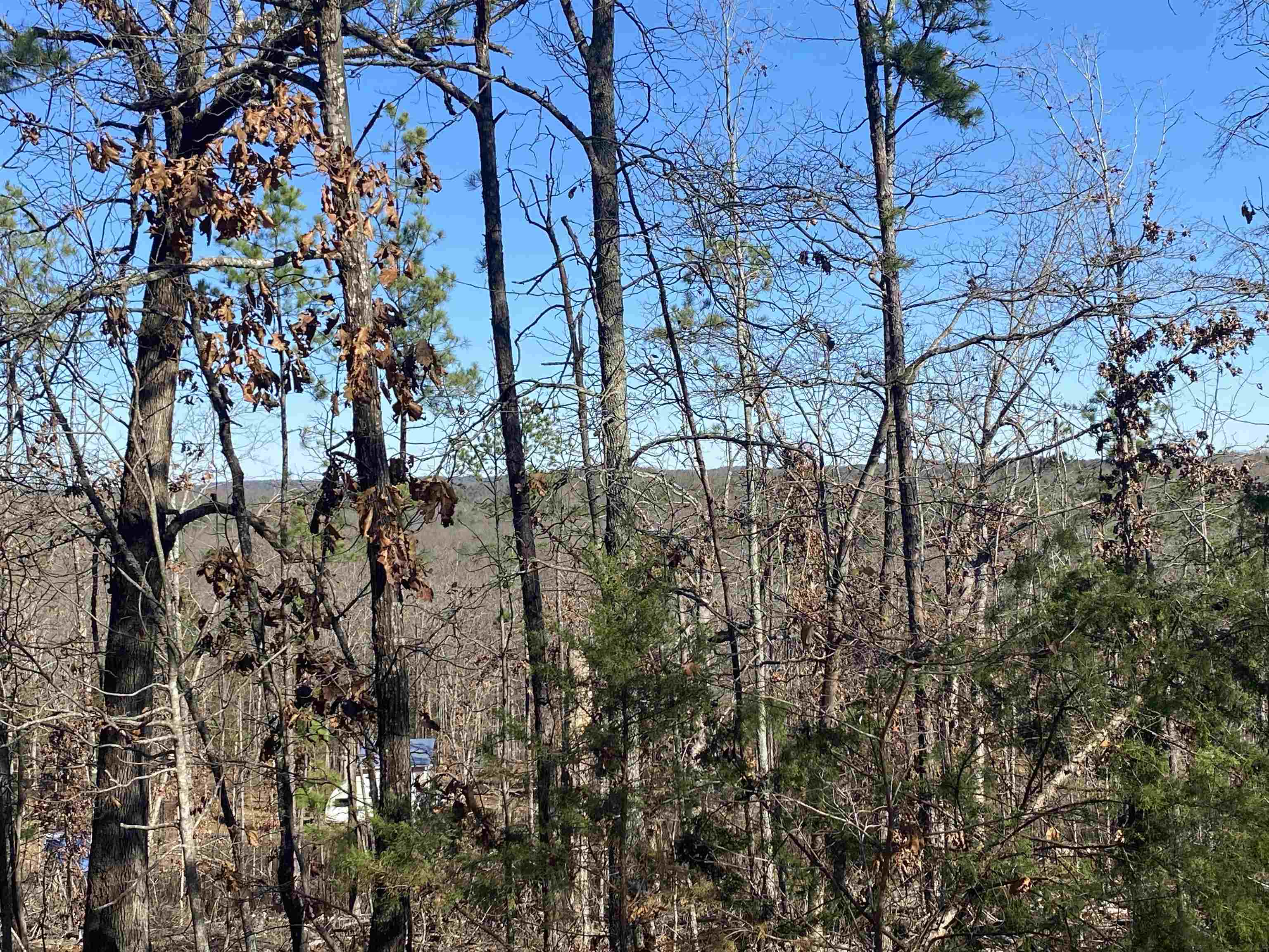 924 Quail Way Property Photo 1