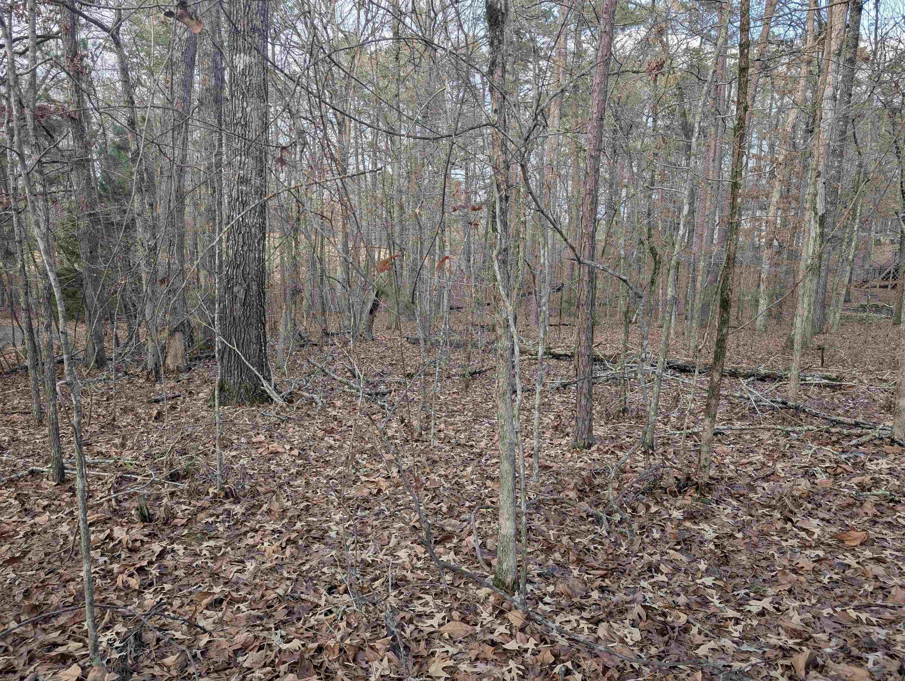 2 Morro Place Property Photo 3