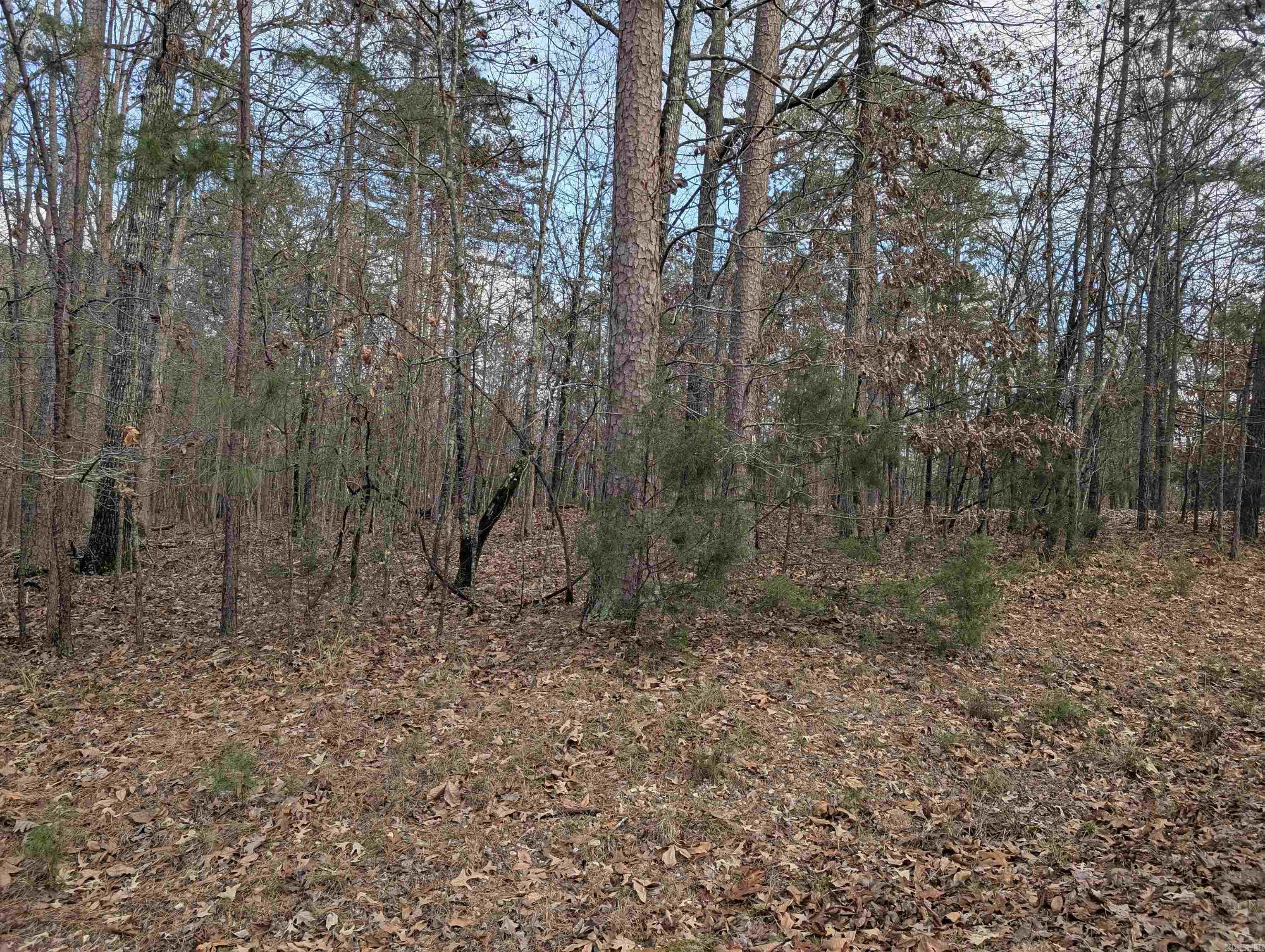 2 Morro Place Property Photo 4