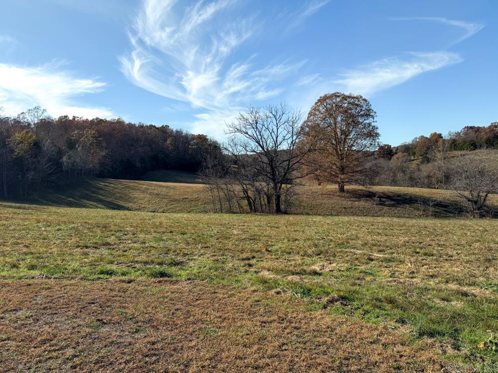 31025 263 Highway Property Photo 15