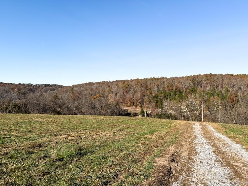 31025 263 Highway Property Photo 16