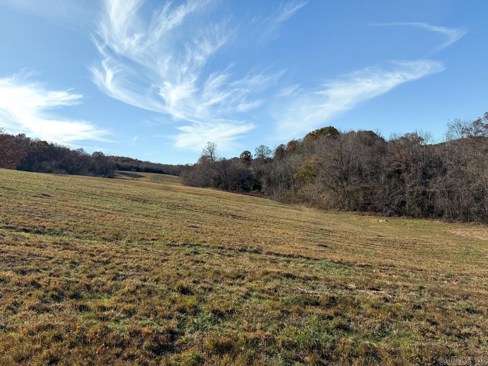 31025 263 Highway Property Photo 17