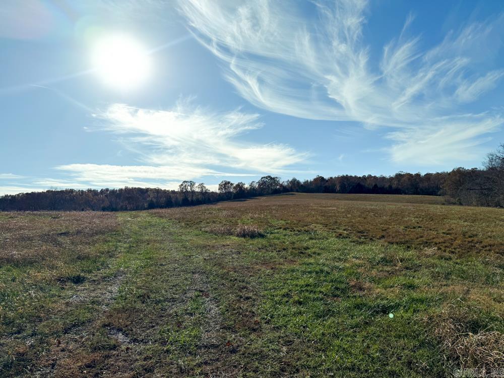 31025 263 Highway Property Photo 19