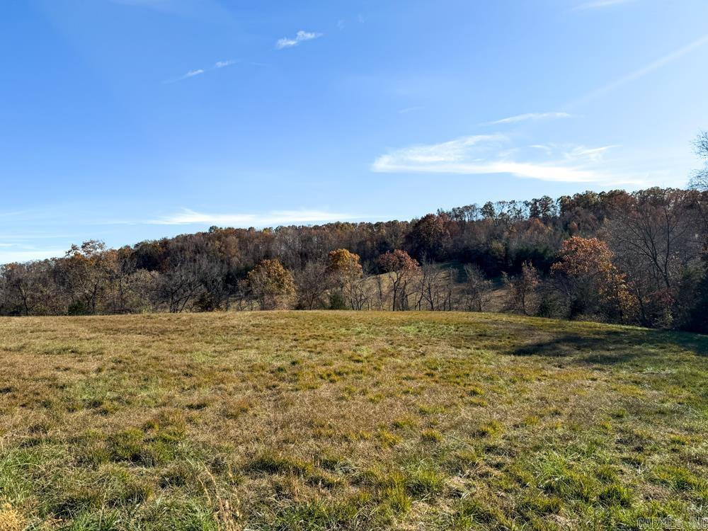 31025 263 Highway Property Photo 20