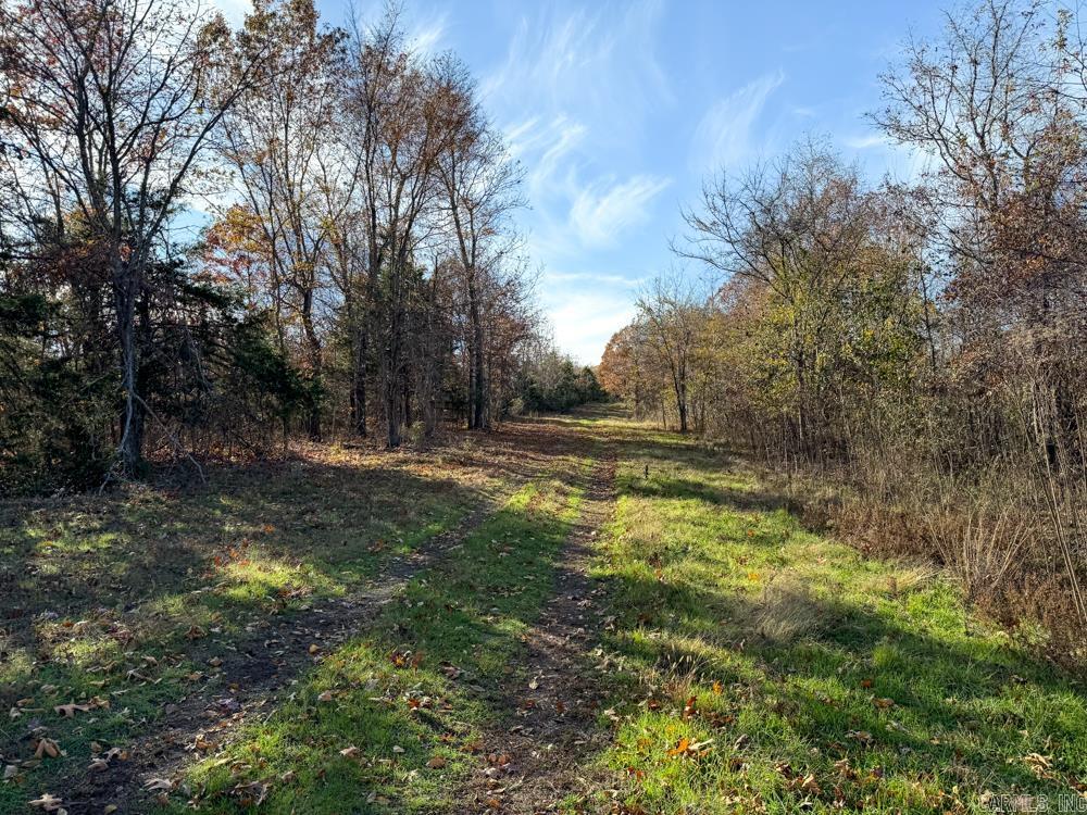 31025 263 Highway Property Photo 22