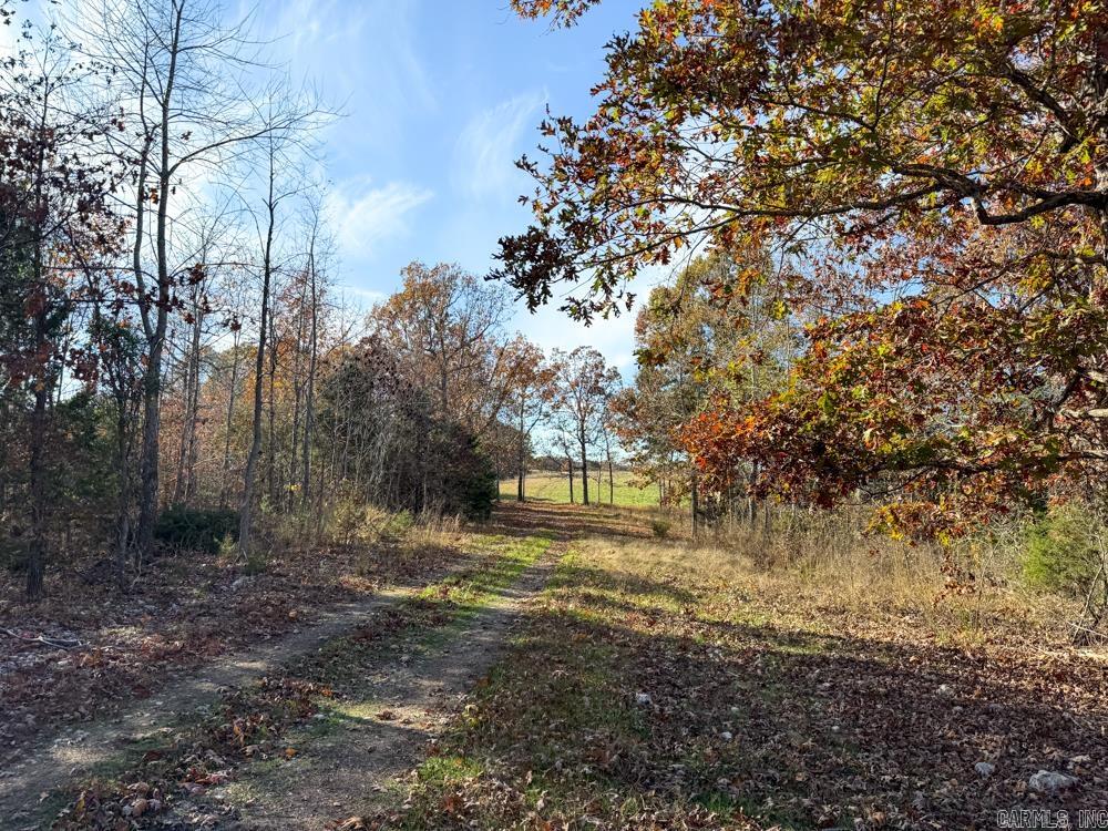 31025 263 Highway Property Photo 23
