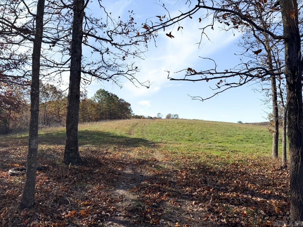 31025 263 Highway Property Photo 24