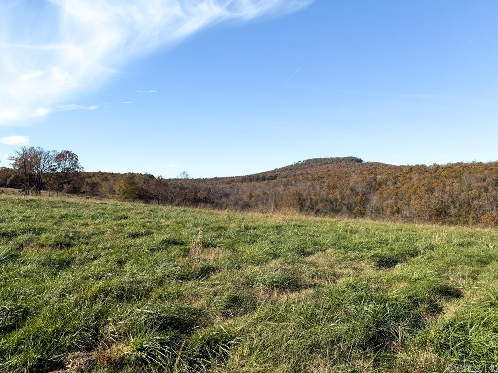 31025 263 Highway Property Photo 25