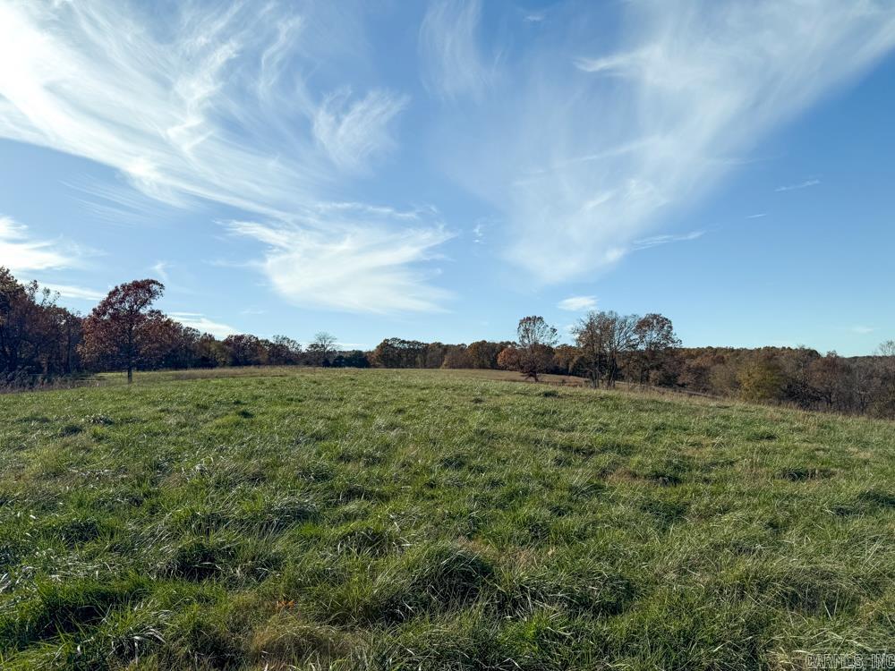 31025 263 Highway Property Photo 26