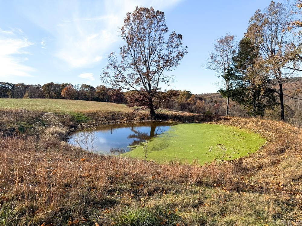 31025 263 Highway Property Photo 27