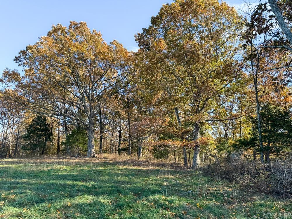 31025 263 Highway Property Photo 29