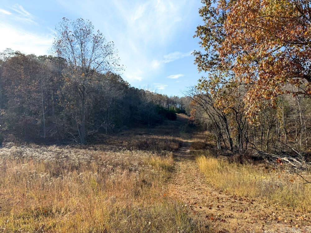 31025 263 Highway Property Photo 30
