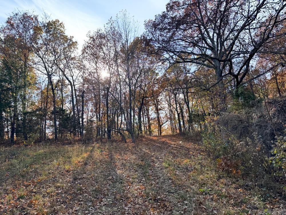 31025 263 Highway Property Photo 31
