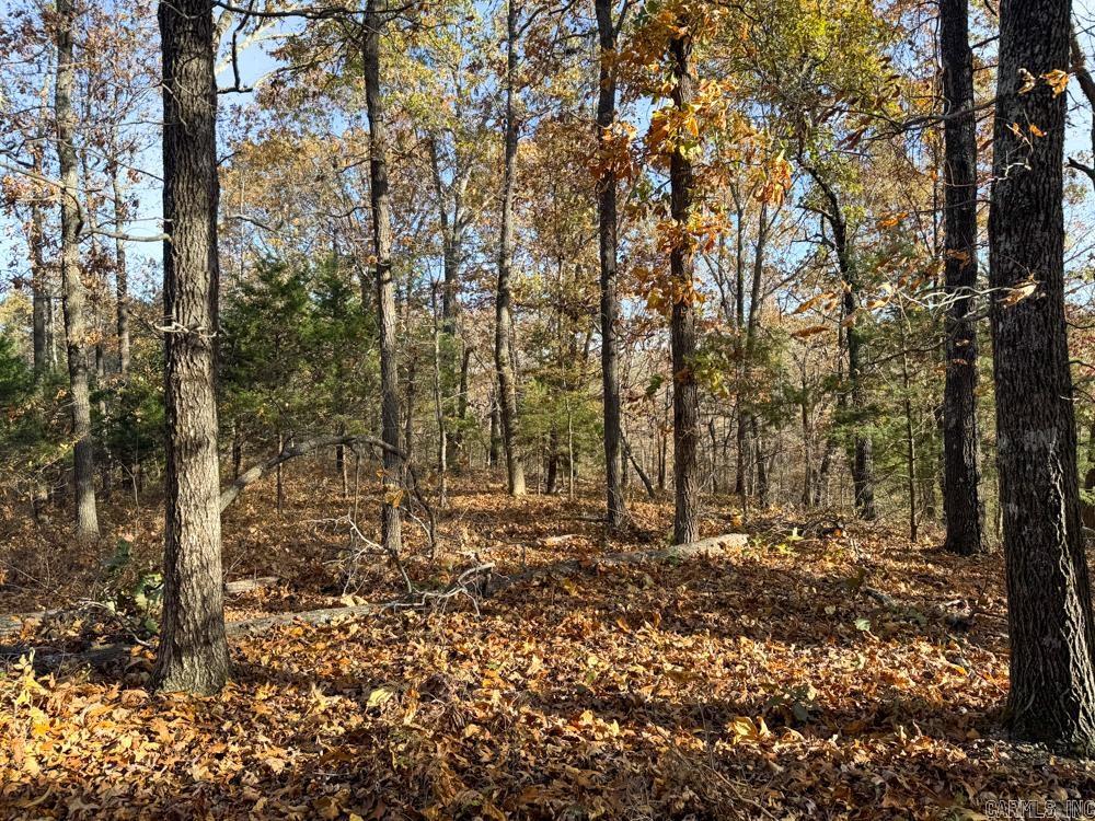 31025 263 Highway Property Photo 32