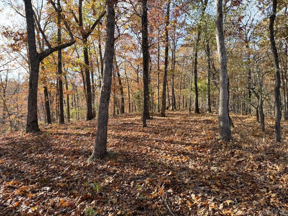 31025 263 Highway Property Photo 33
