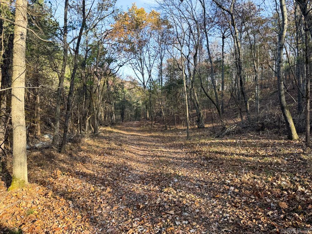 31025 263 Highway Property Photo 35