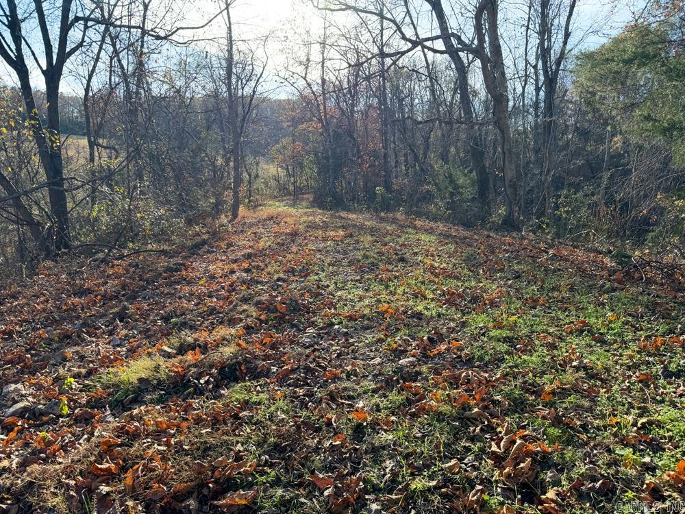 31025 263 Highway Property Photo 37