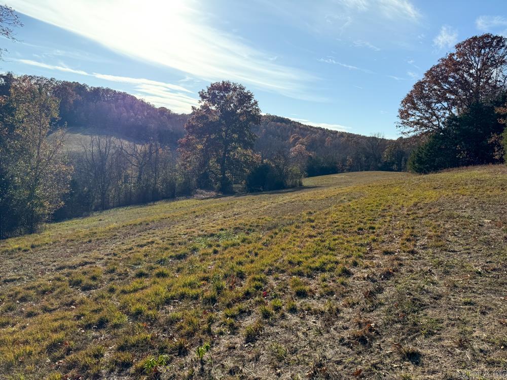 31025 263 Highway Property Photo 38