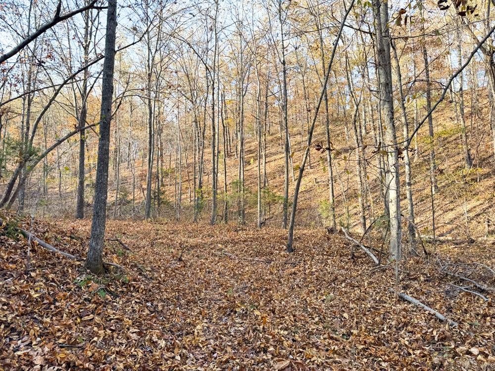 31025 263 Highway Property Photo 39
