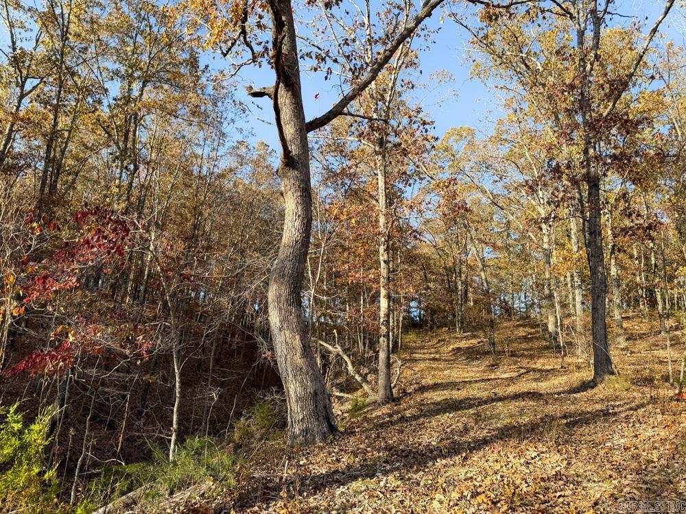 31025 263 Highway Property Photo 41