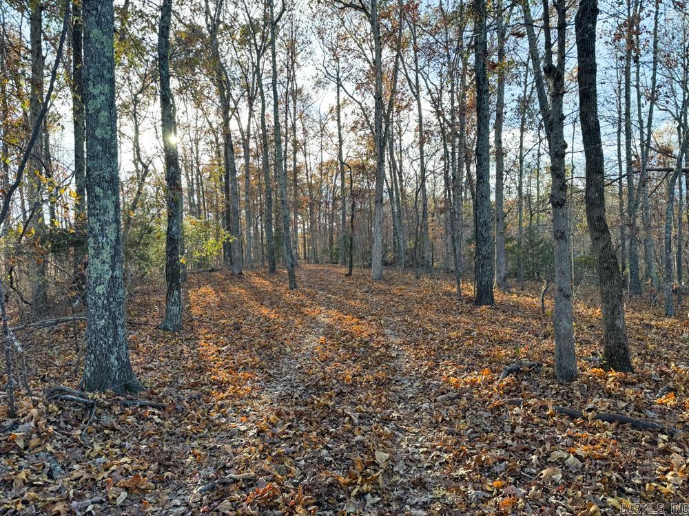 31025 263 Highway Property Photo 43