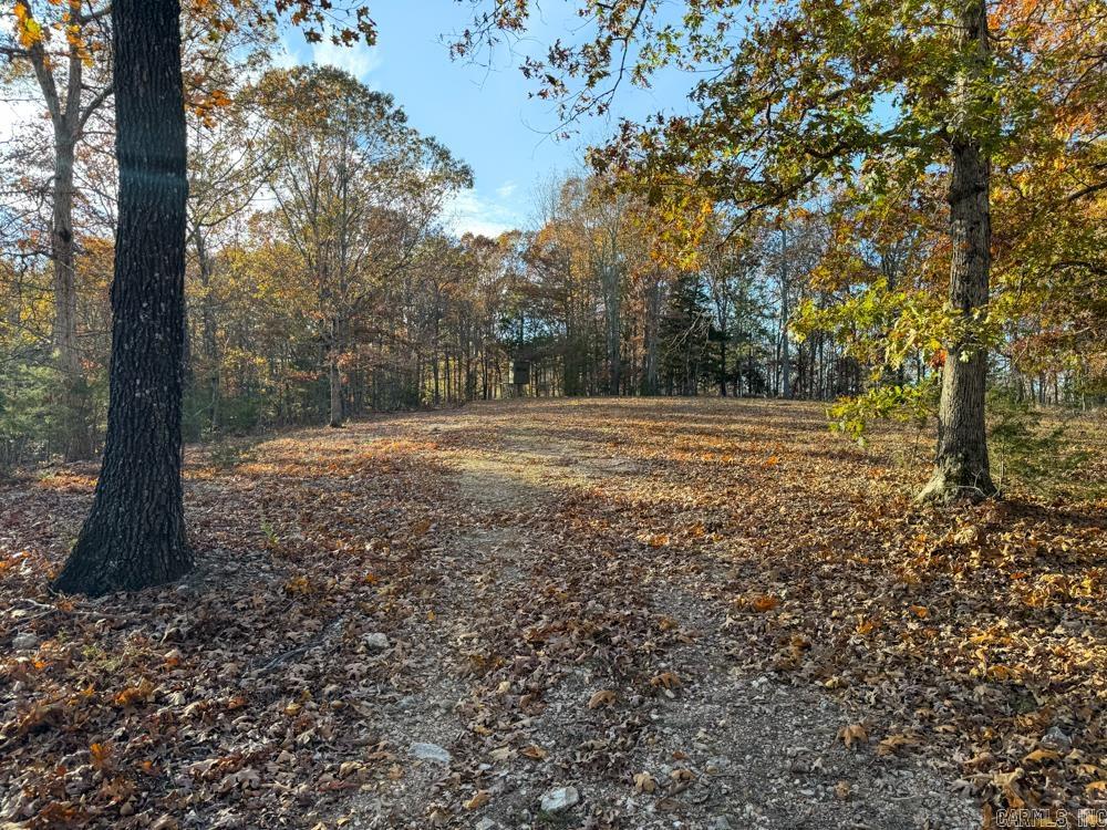 31025 263 Highway Property Photo 44