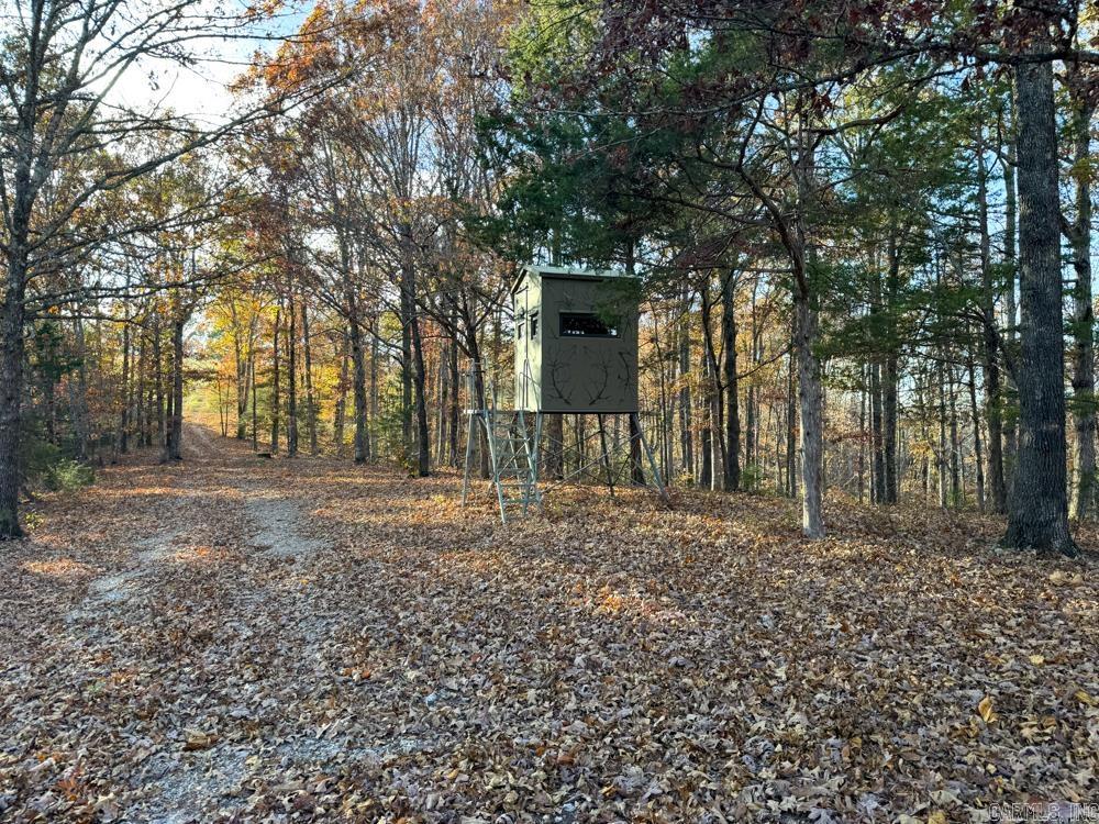 31025 263 Highway Property Photo 45