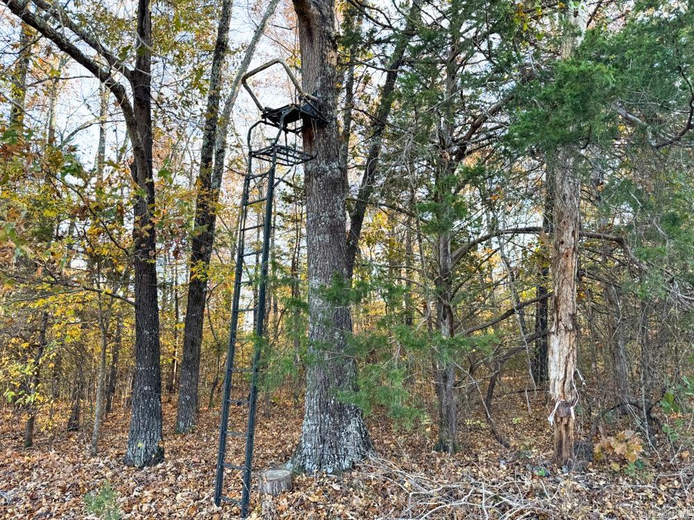 31025 263 Highway Property Photo 47