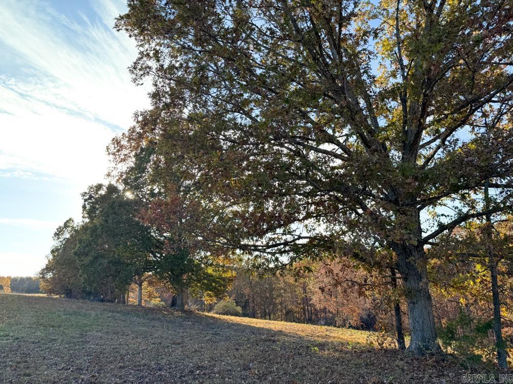 31025 263 Highway Property Photo 49