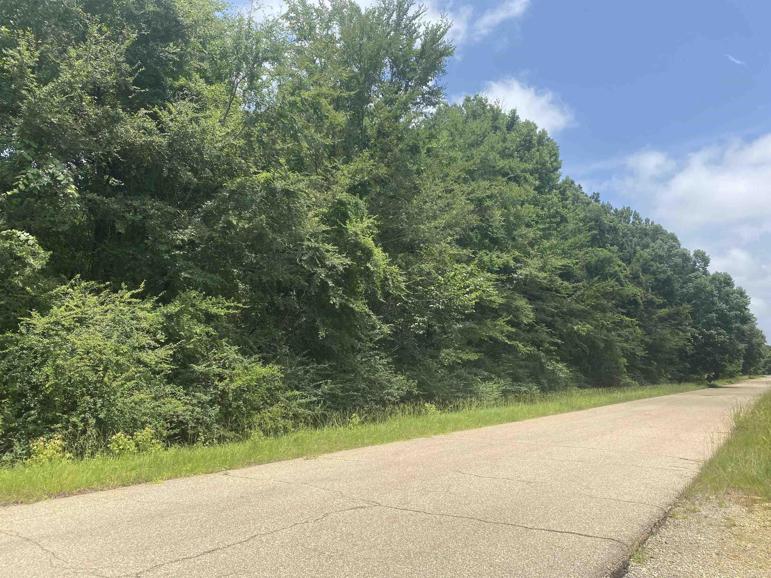 000 Fairview Rd / Hwy 133 N Property Photo 3