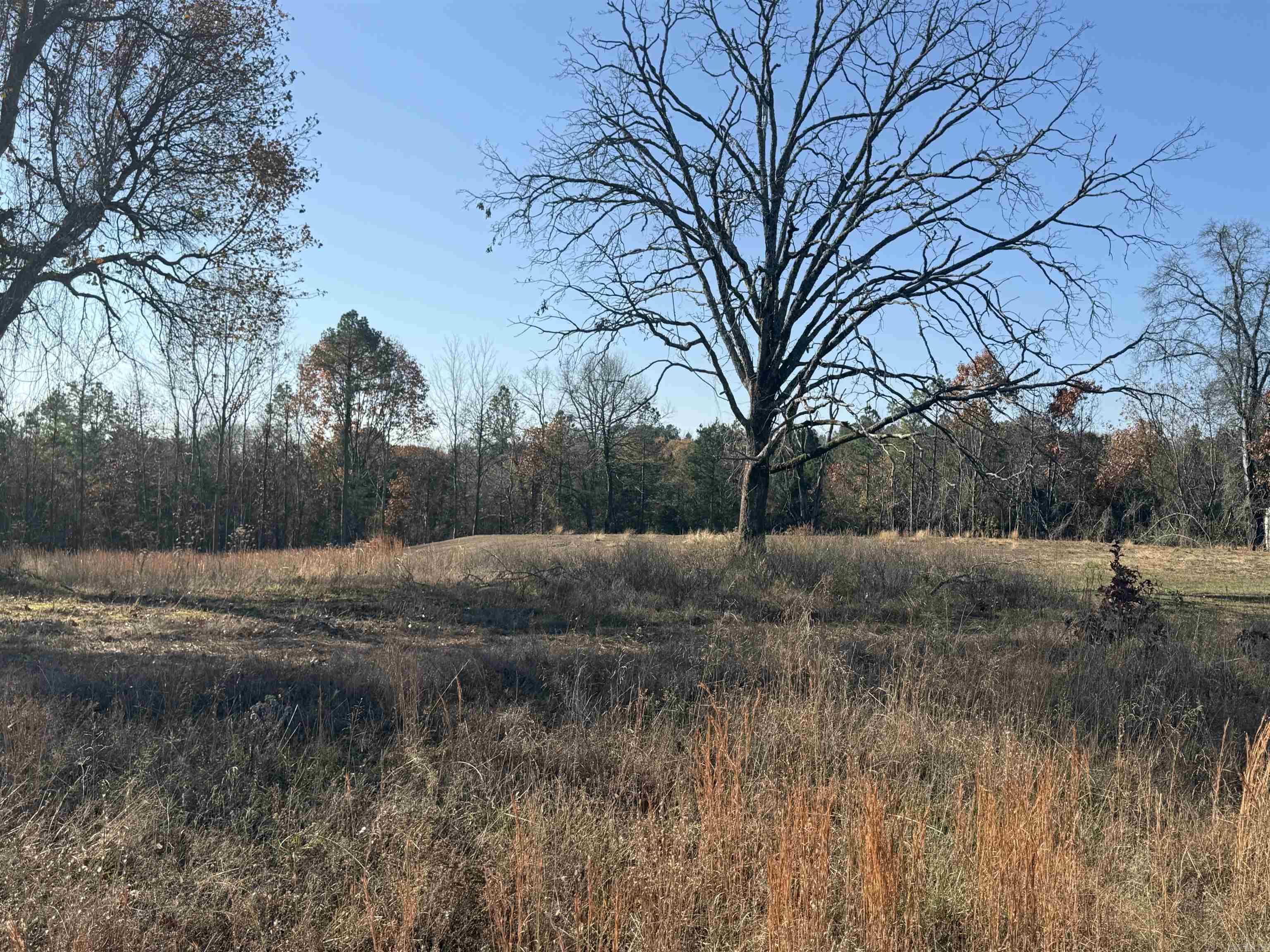 591 Bens Circle Property Photo 1