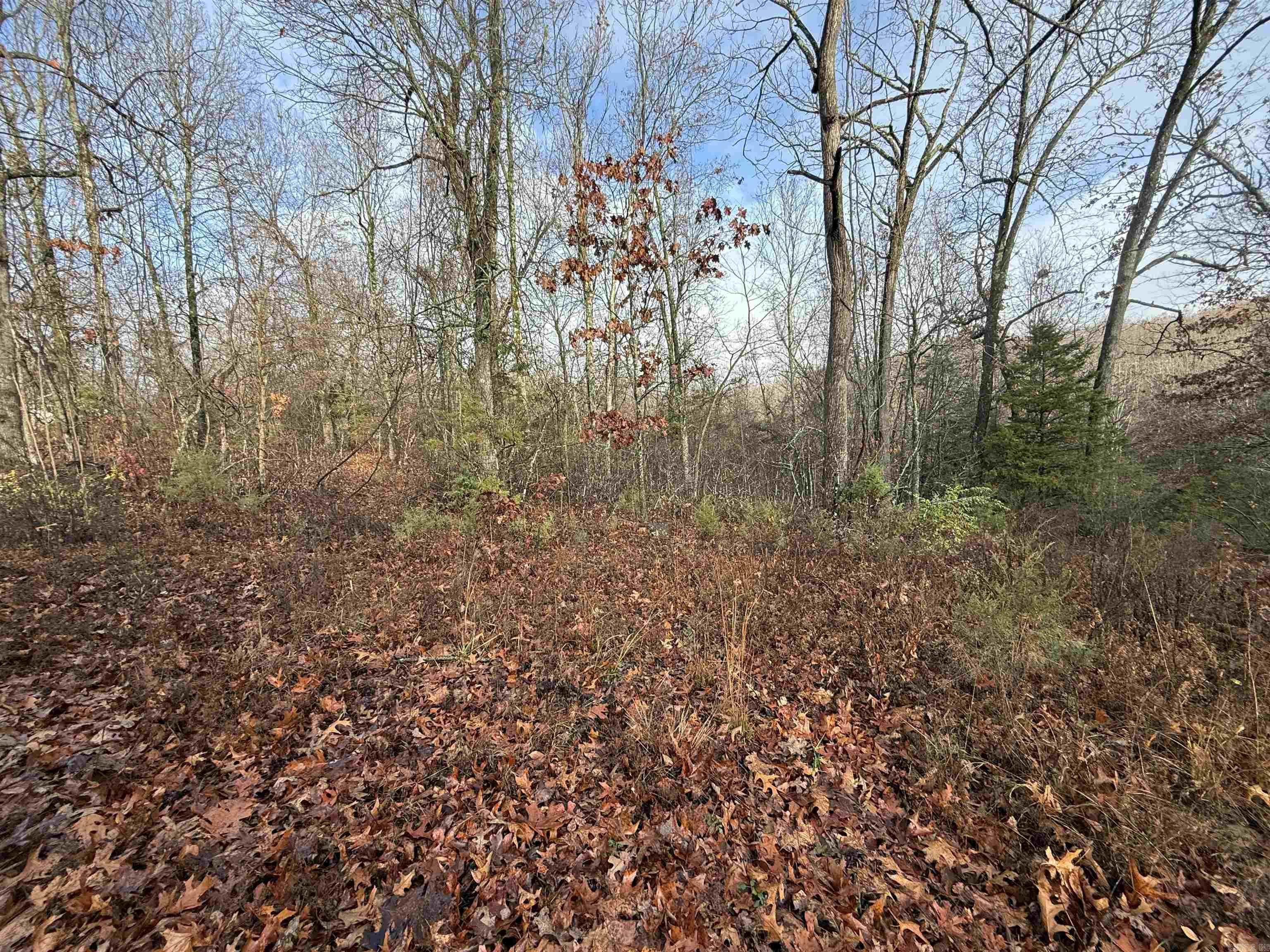 Dogwood Drive Drive Property Photo 2