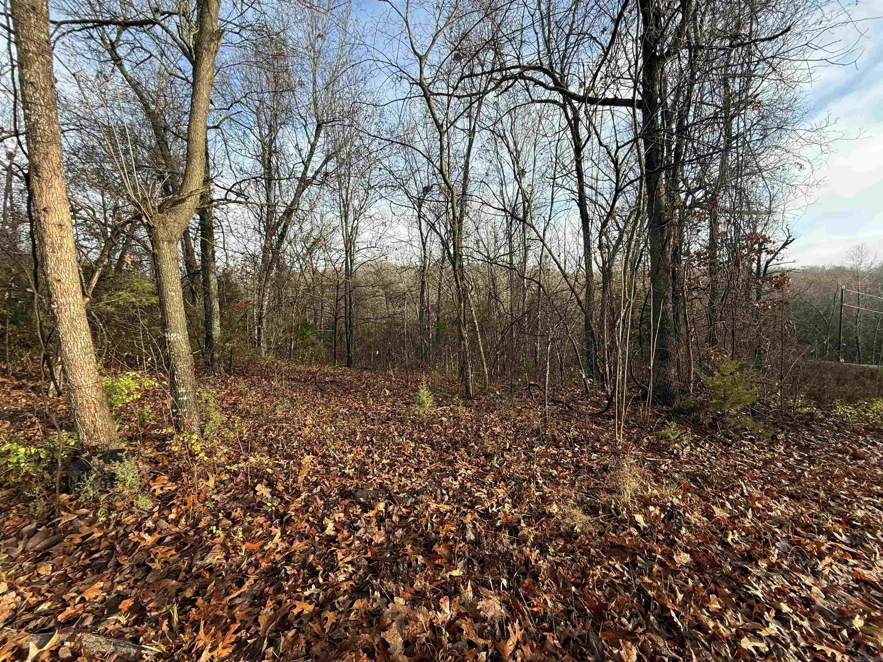 Dogwood Drive Drive Property Photo 3