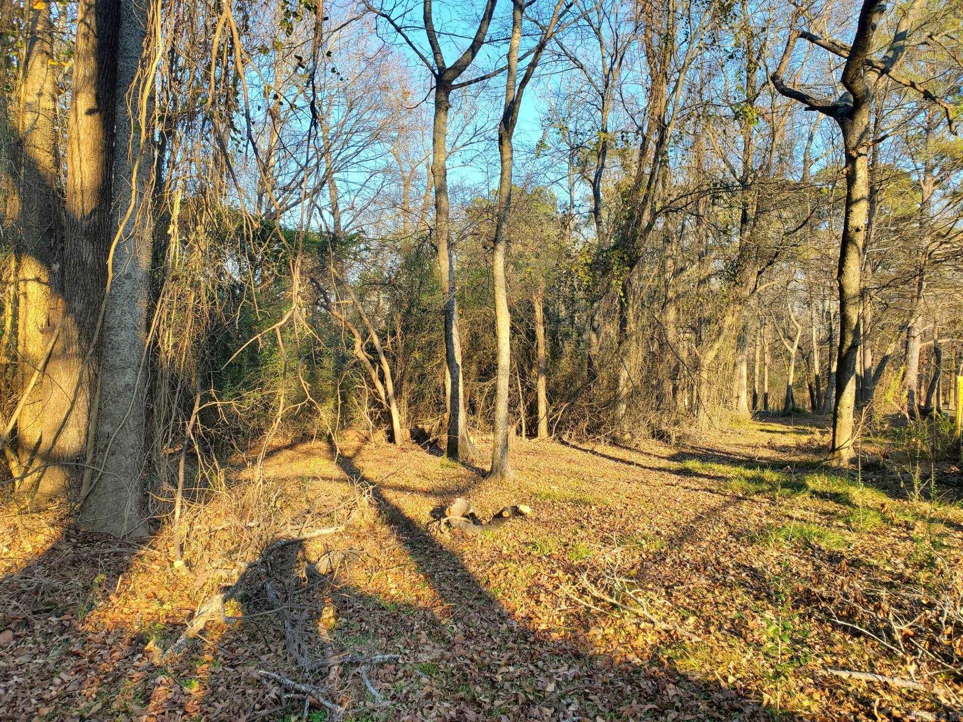 Lot 129 N 26th Street Property Photo 3