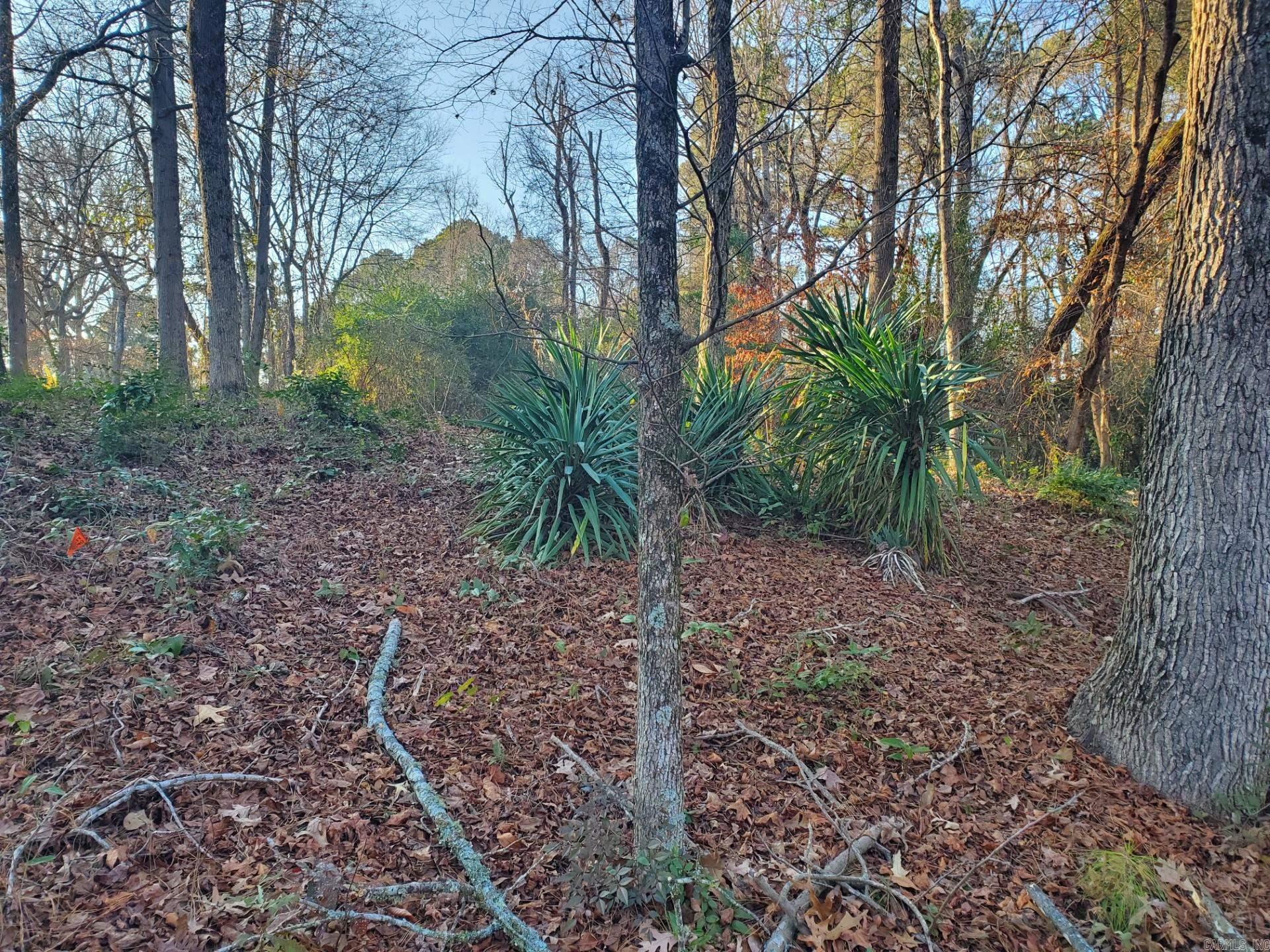Lot 129 N 26th Street Property Photo 5