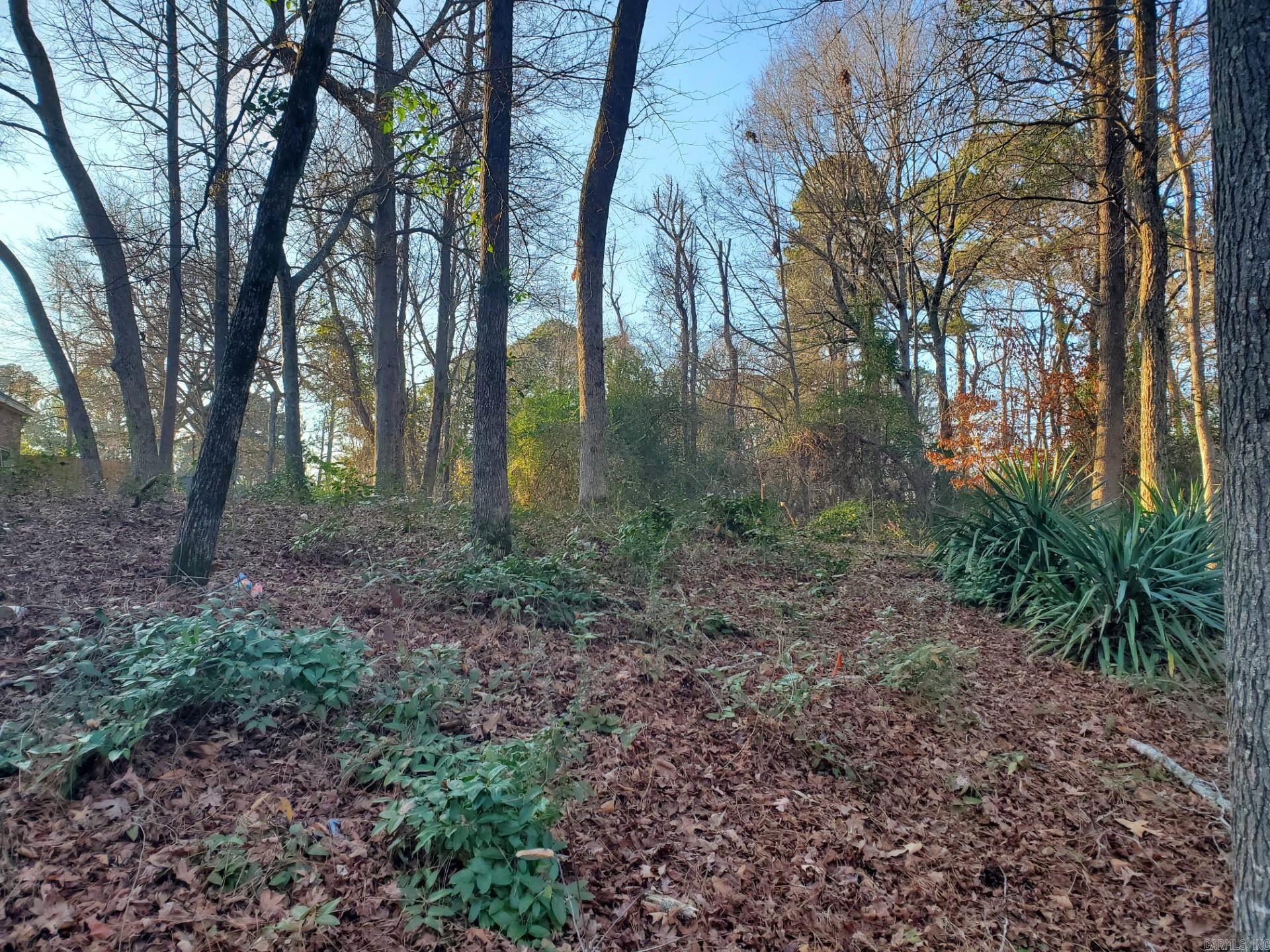 Lot 129 N 26th Street Property Photo 12