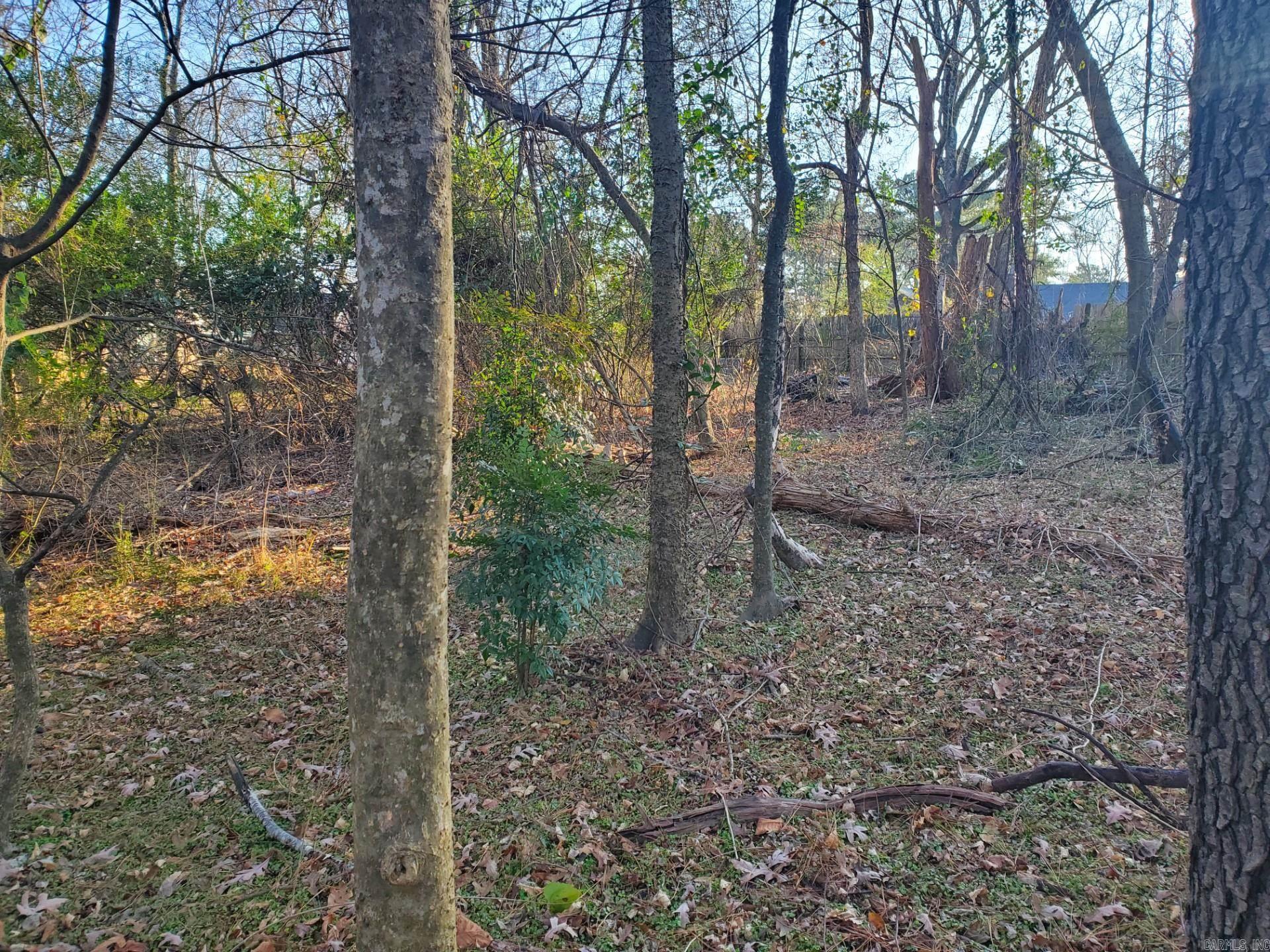 Lot 129 N 26th Street Property Photo 13