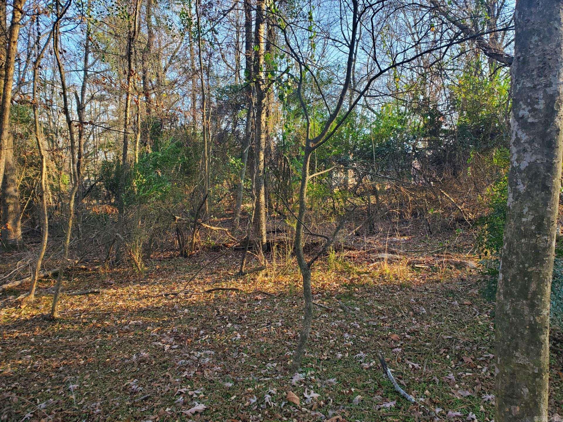 Lot 129 N 26th Street Property Photo 14