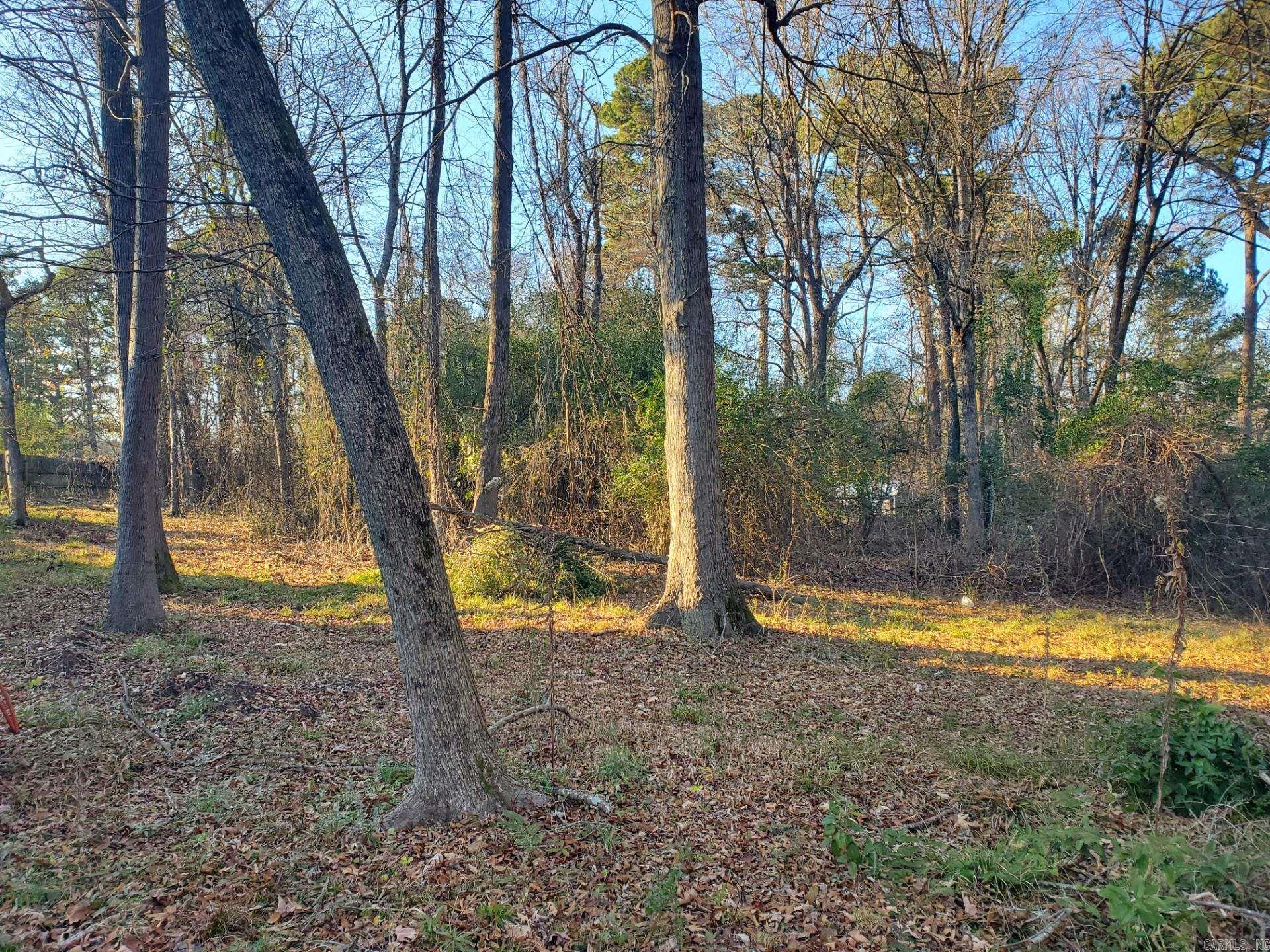 Lot 129 N 26th Street Property Photo 15