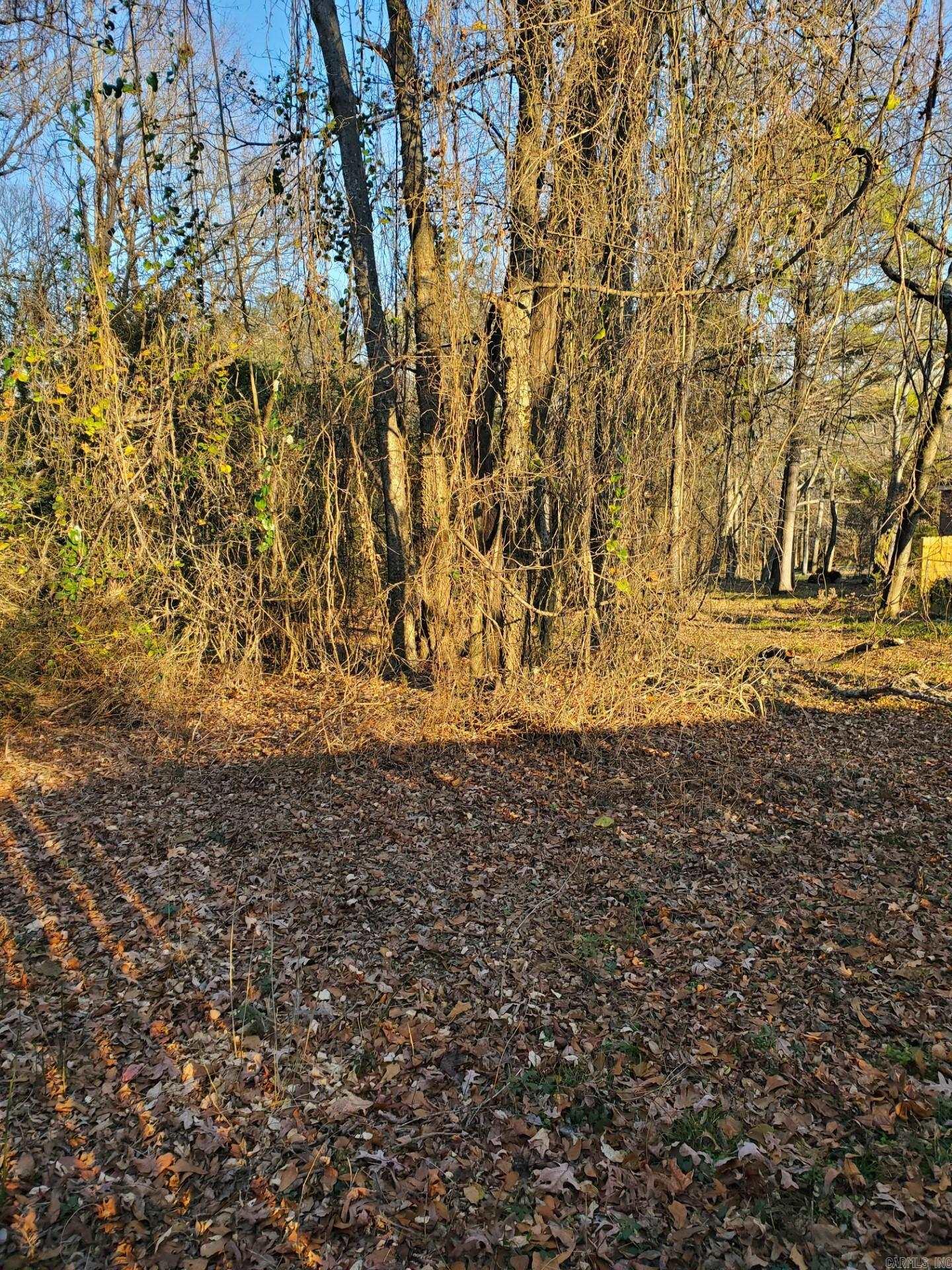 Lot 129 N 26th Street Property Photo 16