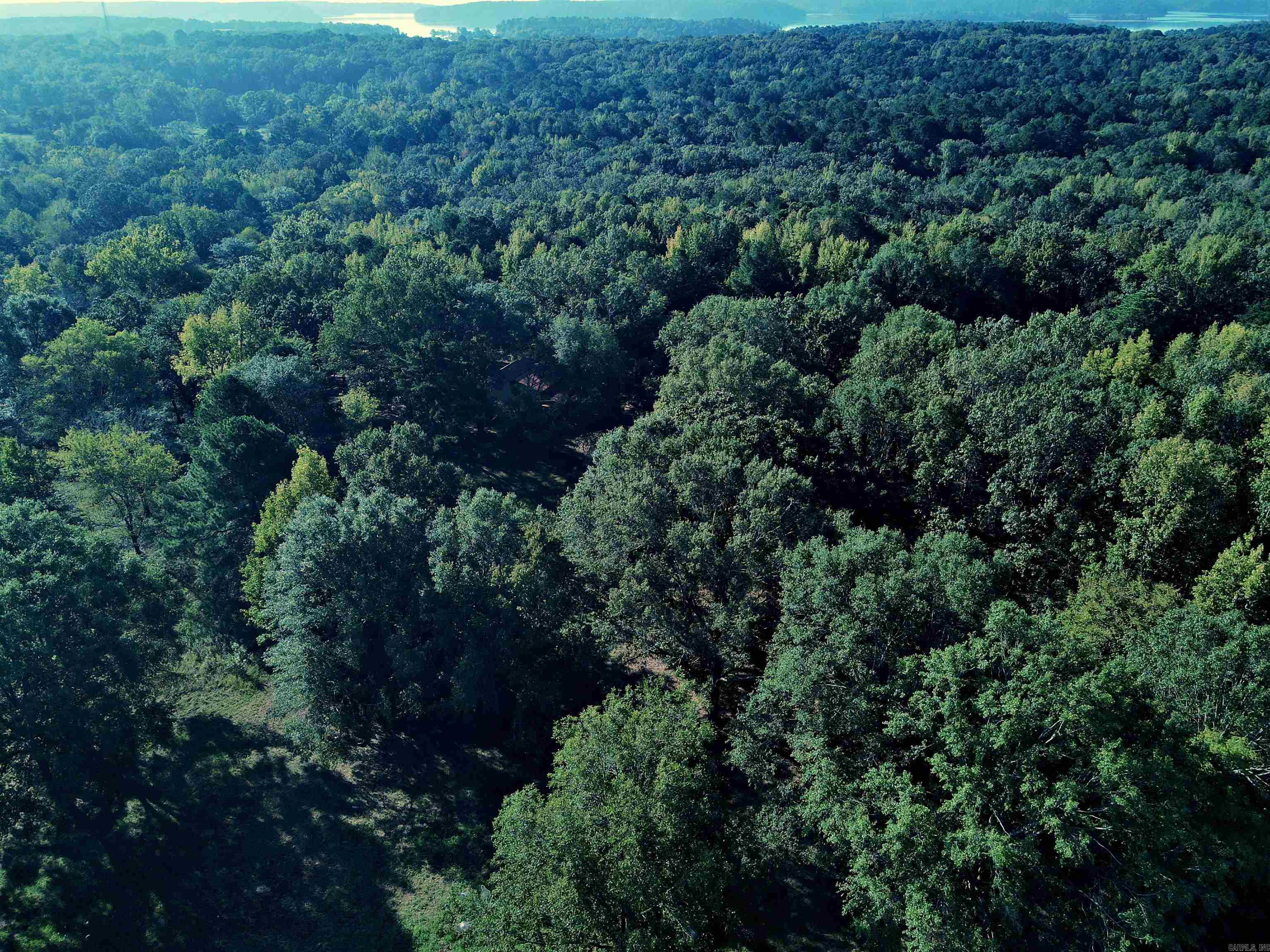 Tbd Scottish Trail Property Photo 3
