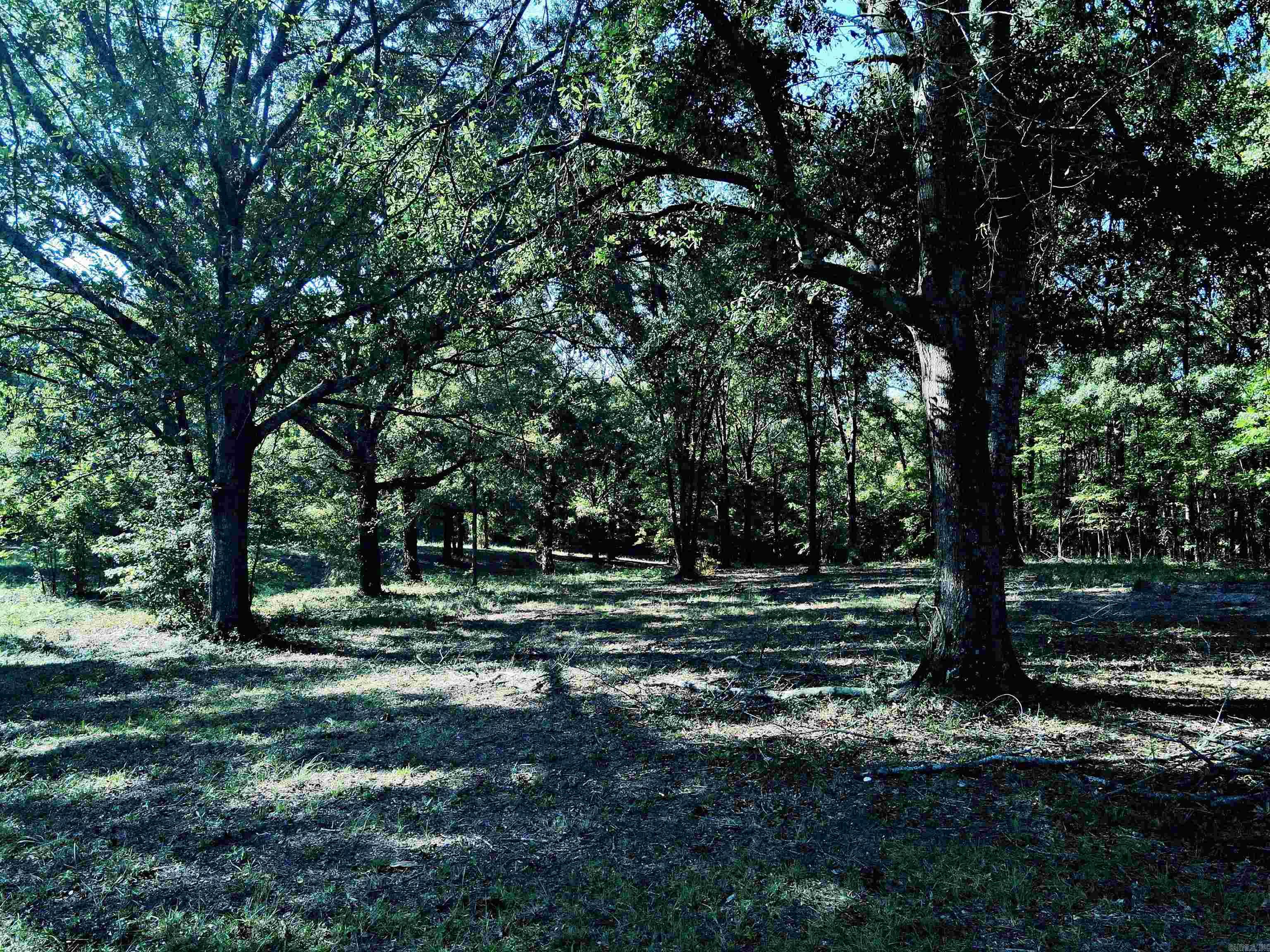 Tbd Scottish Trail Property Photo 9