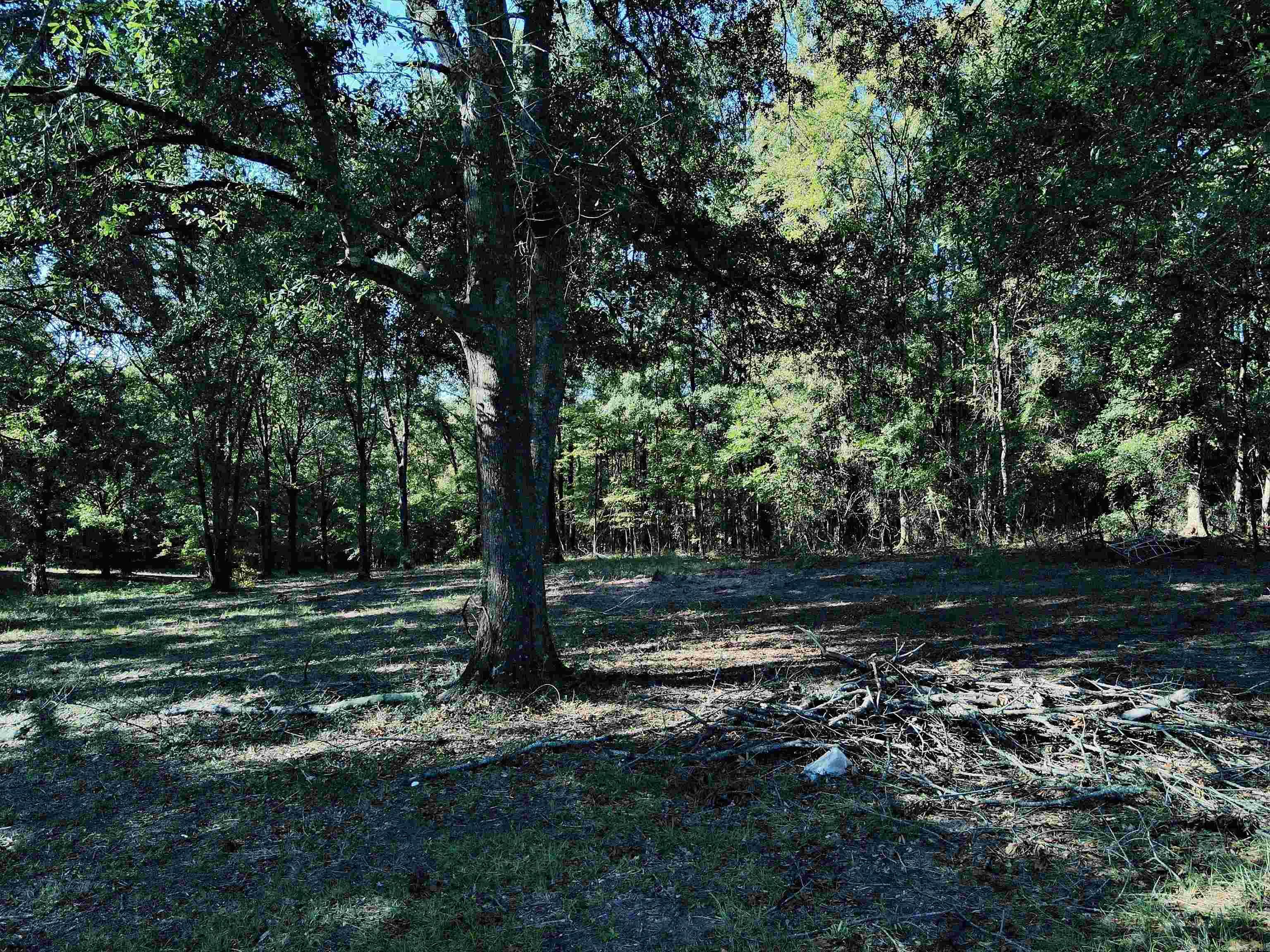 Tbd Scottish Trail Property Photo 10