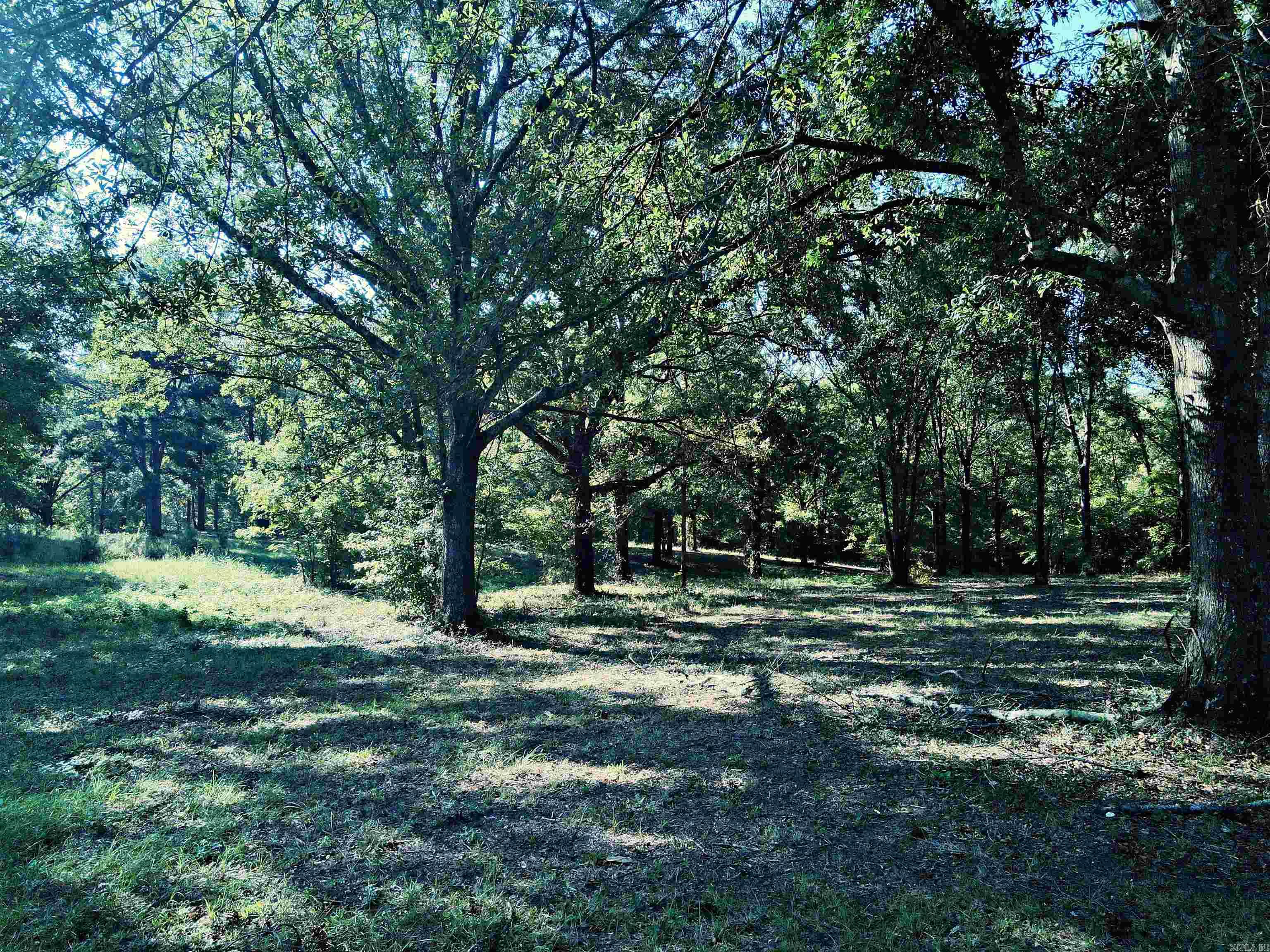 Tbd Scottish Trail Property Photo 11
