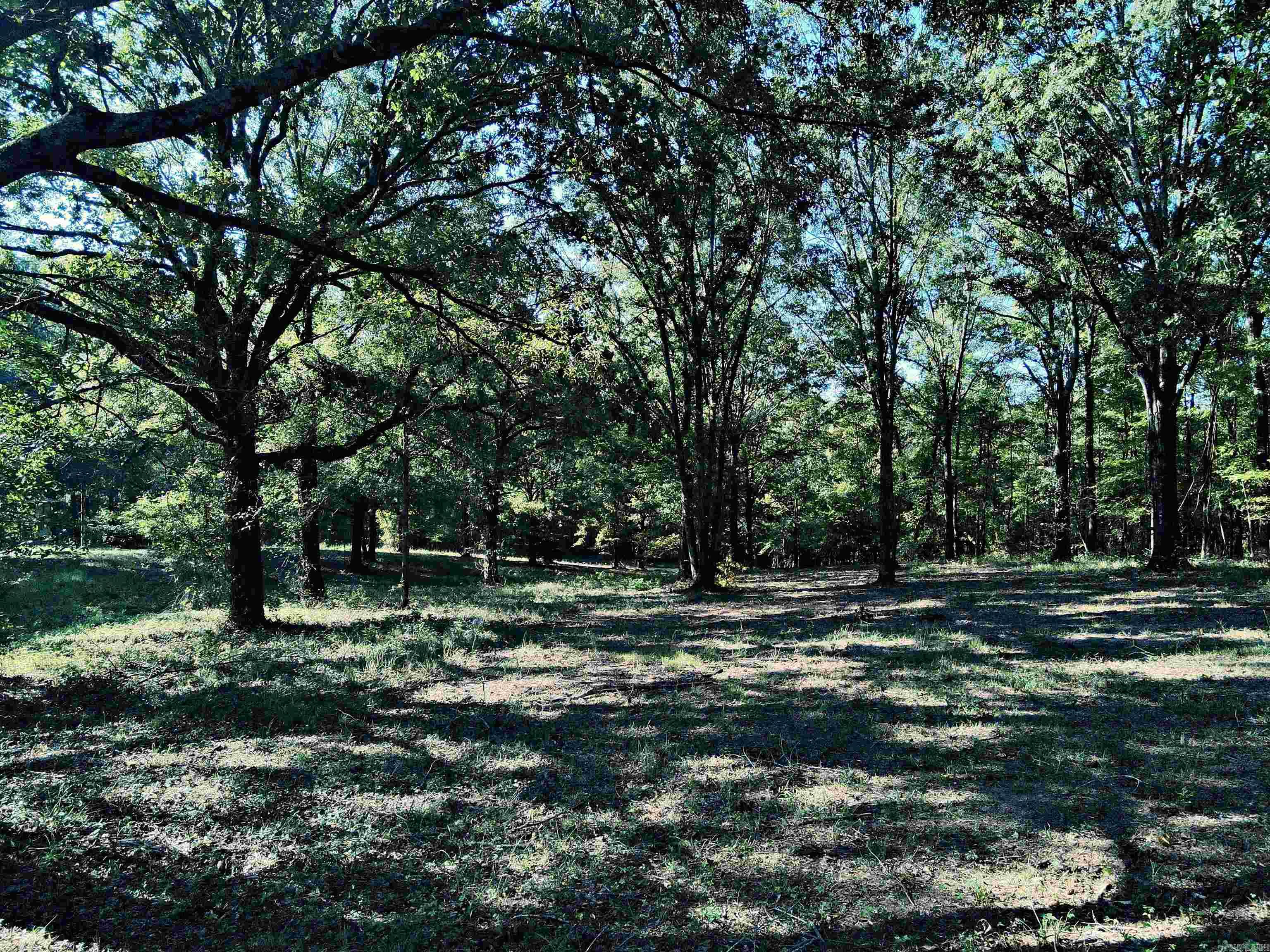 Tbd Scottish Trail Property Photo 12