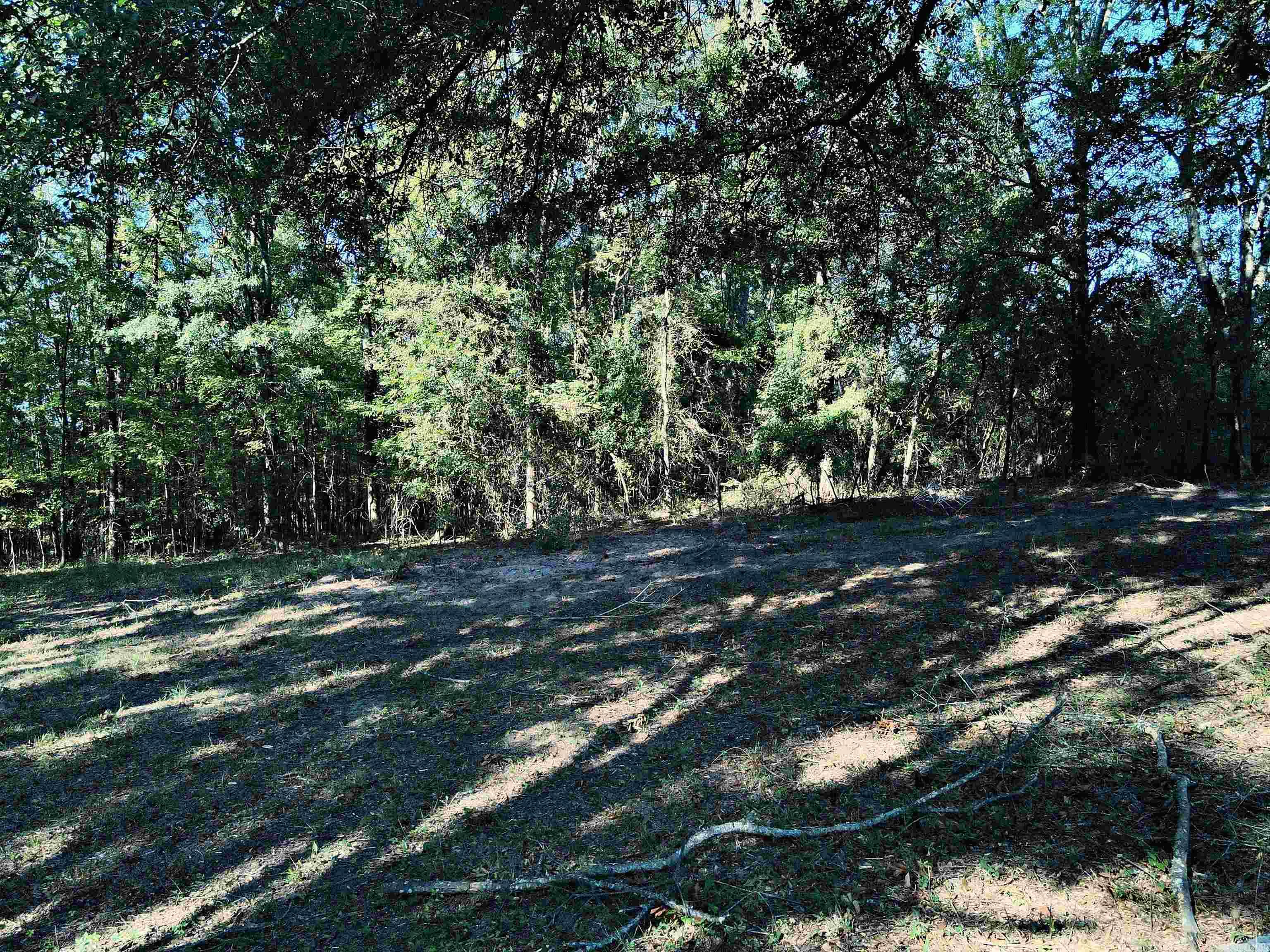 Tbd Scottish Trail Property Photo 13