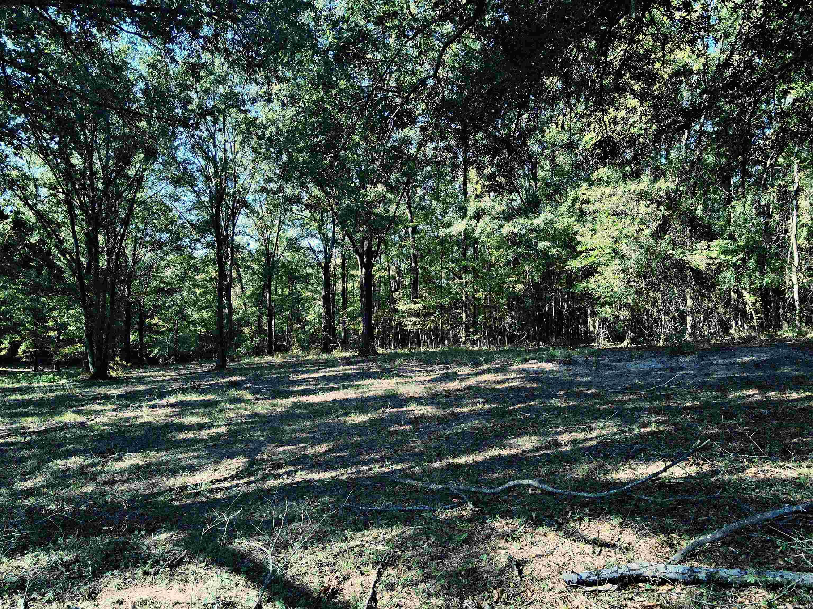 Tbd Scottish Trail Property Photo 15