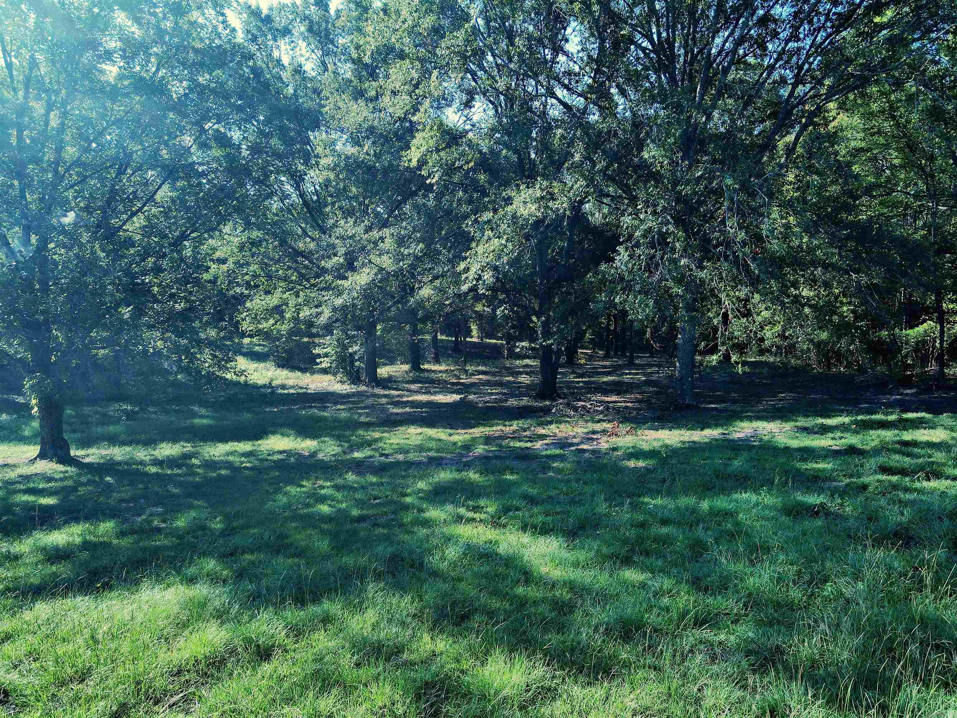 Tbd Scottish Trail Property Photo 16