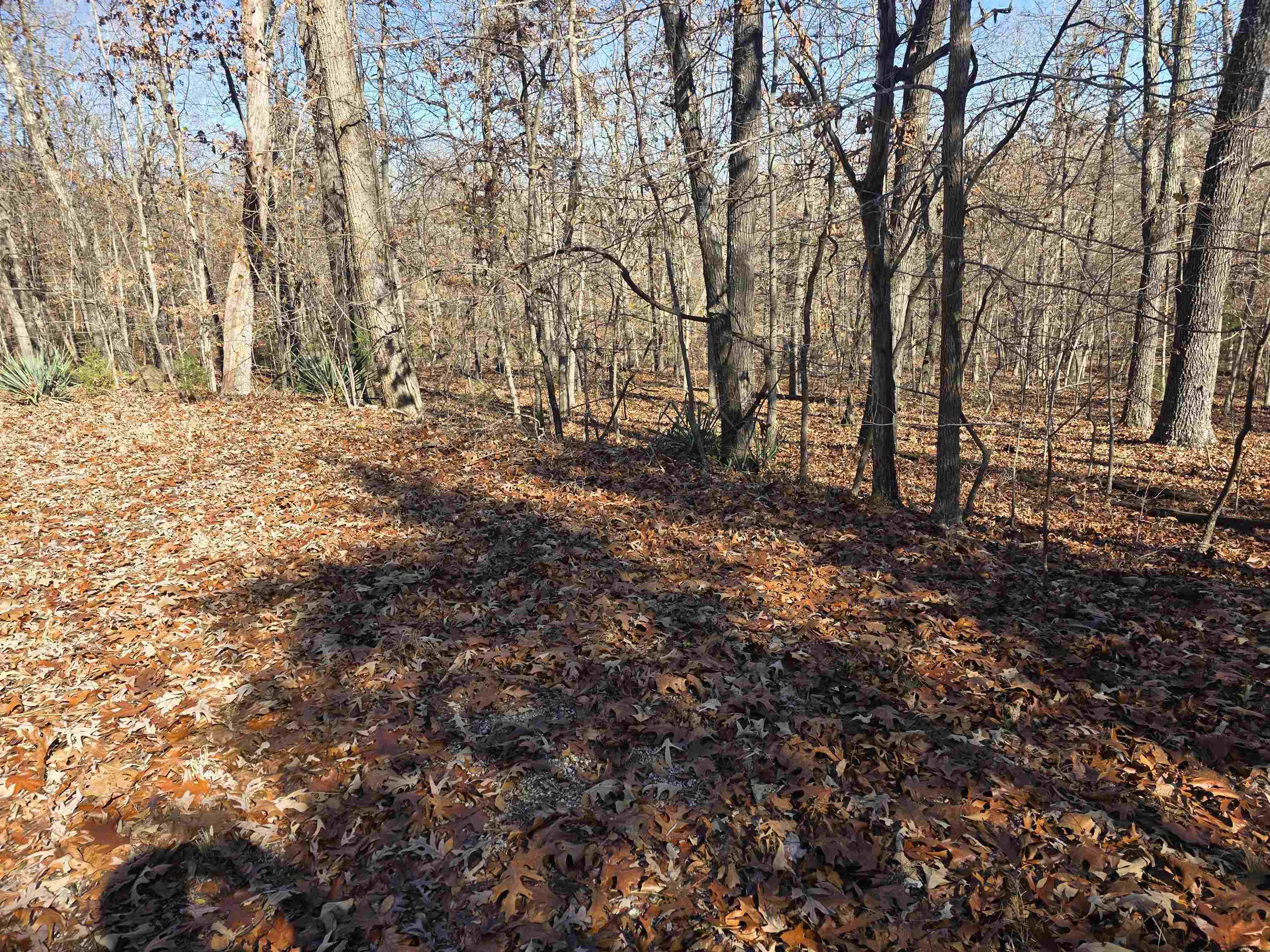 L11,b5 Wasatch Trail Property Photo 6