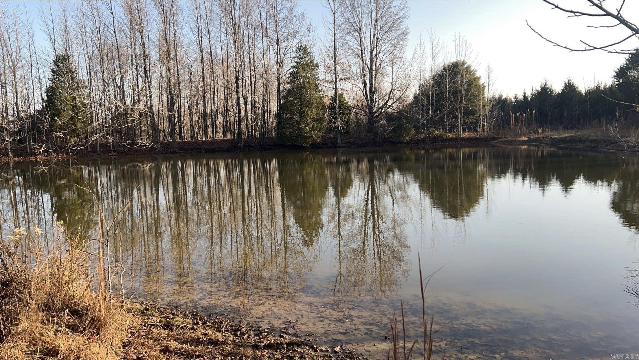 1 Cr 457 Road Property Photo 3